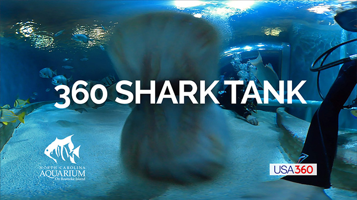 360 Shark Tank Thumbnail - VArtisans VR Production