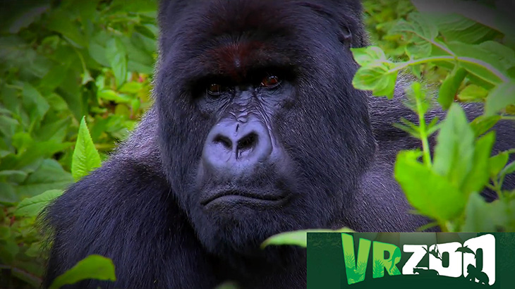 VR Zoo Thumbnail - VArtisans VR Production
